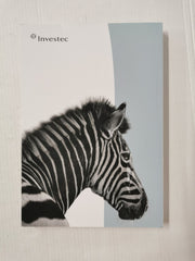 Investec World of Opportunities Annual Report 2022