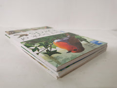 RSPB First Book Of Birds, Flowers & Mammals 3 Book Set by Anita Ganeri