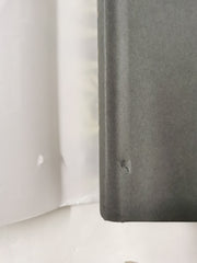 Rebel Rose (the Queen's Council, Book 1) by Emma Theriault First Edition U.S.