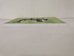 Cherry Picking: Life Between the Sticks by Steve Cherry (Paperback, 2019) SIGNED