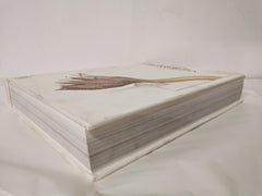 Claes Oldenburg and Coosje van Bruggen by Germano Celant (Hardcover, 1999)