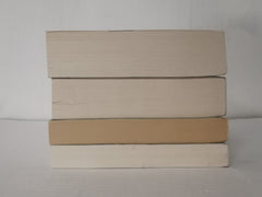 Bundle 4 x 20th Century Classics - The Shadow of the Wind, The Great Gatsby