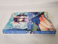 Strike the Blood, Vol. 17 (light novel) by Gakuto Mikumo (Paperback, 2021)
