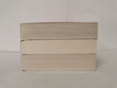 Bundle 3 Thrillers! Snow, Shiver, The Vanishing Season