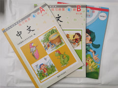 Zhong Wen / Chinese Textbook Vol 4, 4A & 4B 3 Book Set