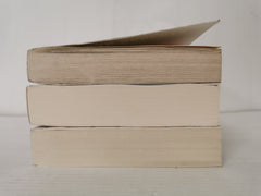 Bundle 3 x Historical Fiction: My Policeman, The German Boy, Suite Française