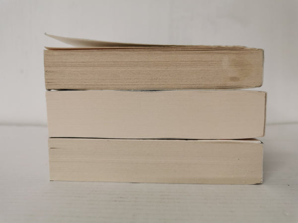 Bundle 3 x Historical Fiction: My Policeman, The German Boy, Suite Française