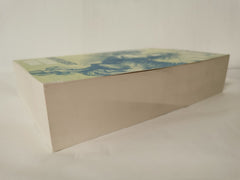 Winterlight: Book Seven by Kristen Britain (Paperback, 2021)