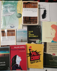 FRENCH Language BUNDLE JOBLOT/WHOLESALE BOX 33 NEW BOOKS
