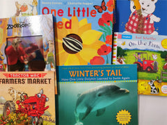Mega Bundle 14 x Baby Books, Lift The Flaps, ABC's, Colours, Disney