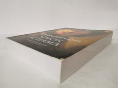 Rembrandt's Eyes by Simon Schama (Paperback, 2014)