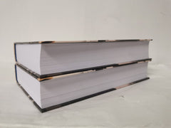 House of Lords Reform: A History: 2 Volume Set by Peter Raina