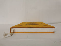 Ztracený Svatý by Ondřej Horák, Alexandra Kusá, Jindřich Janíček, N. Janíčková