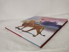 I Knew You Could Do It! by Nancy Tillman (Hardcover, 2019)