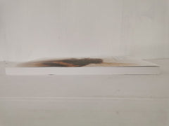 Proceedings of the Dorset Natural History and Archaeological Society - Vol 143