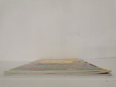 3 x Julia Donaldson/Axel Scheffler Activity Books: Room On the Broom, Superworm