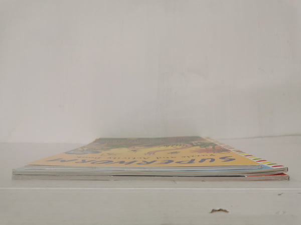 3 x Julia Donaldson/Axel Scheffler Activity Books: Room On the Broom, Superworm