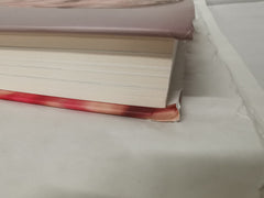 My Life in Red and White: The Number 1 Bestseller Autobiography by Arsene Wenger