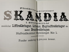Bilderna Berättar Pictures Talk: Skandias historia 1855-2005 by Johan Erseus