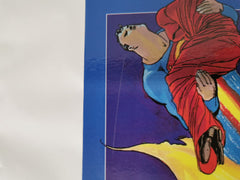 DC Heroes & Villains Collection Superman for All Seasons Graphic Novel