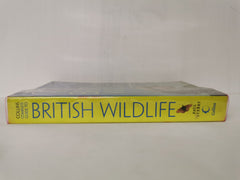 Collins Complete Guide to British Wildlife by Paul Sterry (Paperback)