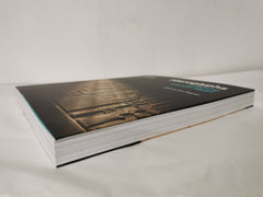 Hieroglyphs: unlocking ancient Egypt by Ilona Regulski The British Museum