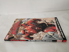 Despicable Deadpool Vol. 3, The Marvel Universe Kills Deadpool Paperback