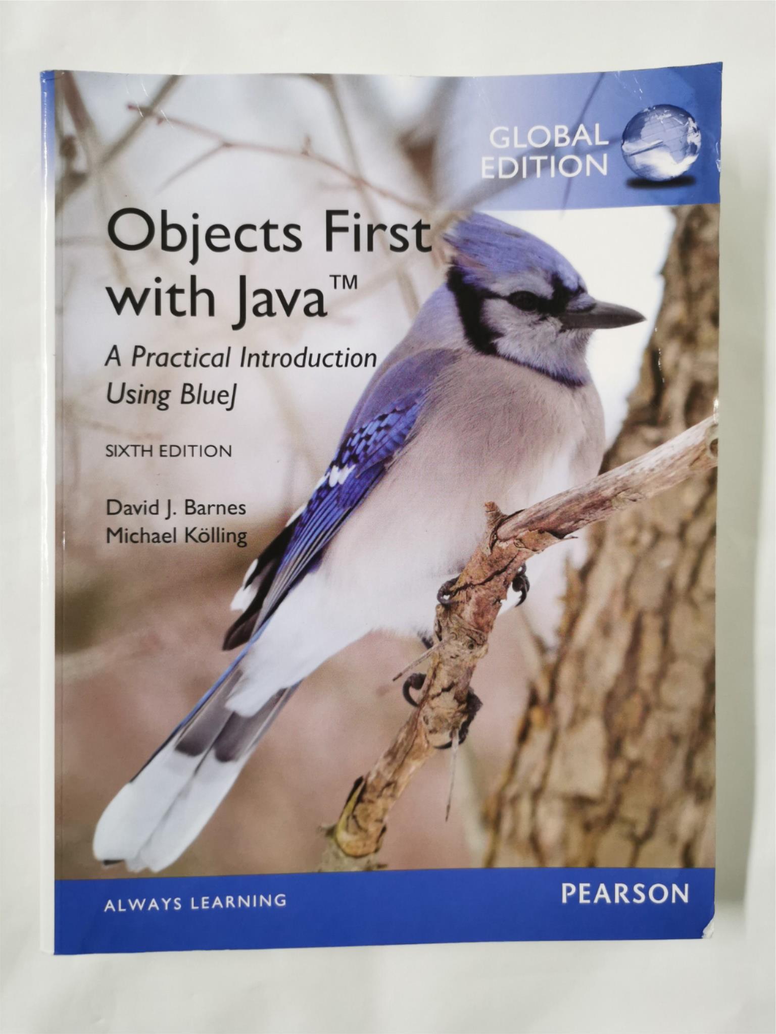Objects First with Java: A Practical Introduction Global Edition by ...