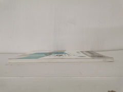 Essay writing (Prieš egzaminą) - English for Lithuanians