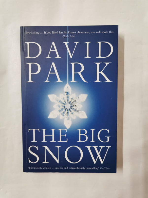 The Big Snow by David Park (Paperback, 2009) *SIGNED*