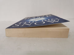 The Big Snow by David Park (Paperback, 2009) *SIGNED*