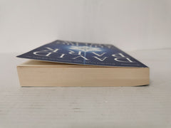 The Big Snow by David Park (Paperback, 2009) *SIGNED*