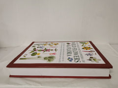 The World Encyclopedia of Wild Flowers & Flora by Mick Lavelle