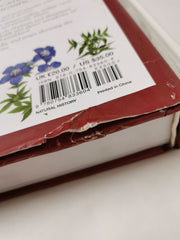The World Encyclopedia of Wild Flowers & Flora by Mick Lavelle