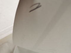 A Scientific Approach to treadmill Traininig of Thoroughbred Horses by Dr Allan