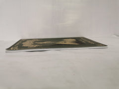 Wickedness - Play Pages by M Veselak (Paperback only, No PDF)