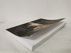 Performing Arts in Prisons: Creative Perspectives by John by Michael Balfour