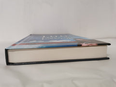 100 Days Of Favor: Daily Readings From Unmerited Favor by Joseph Prince (2011)