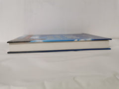 100 Days Of Favor: Daily Readings From Unmerited Favor by Joseph Prince (2011)