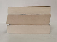 3 Murder/Crime Novels: Rules for Perfect Murders, The Dying Light, Hunting Time