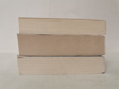 3 Murder/Crime Novels: Rules for Perfect Murders, The Dying Light, Hunting Time