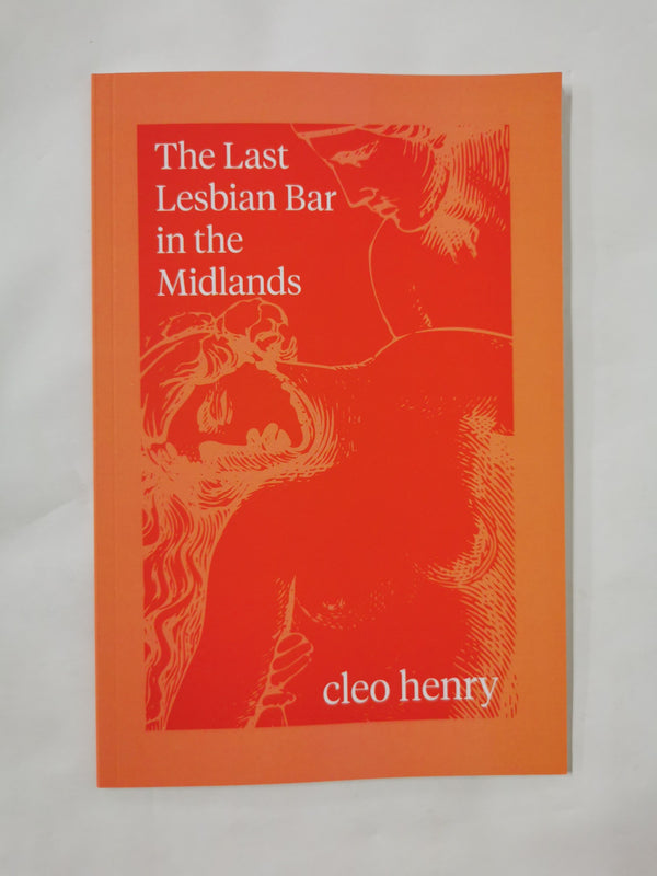 Cover of 10 Crossword, Crisscross Puzzle Books by Cleo Henry - LGBTQ+ Books book