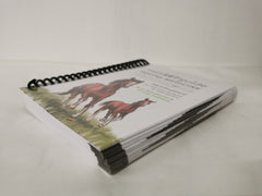 MiniVet Guide Equine Medicine by Gerardo Poli