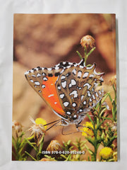 Butterflies of Botswana and their Natural History by Jeremy Dobson