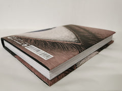 Venus in the Blind Spot (Junji Ito) by Junji Ito (Author)