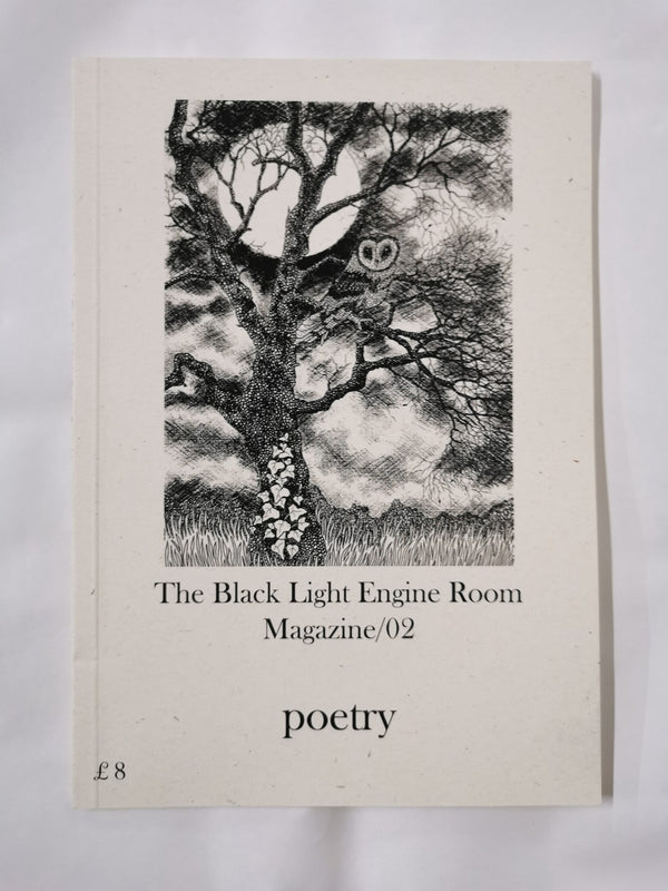 The Black Light Engine Room Magazine/02 Poetry