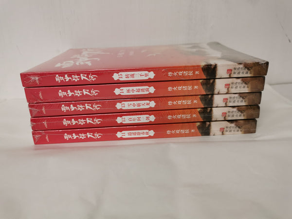 Swordsmanship in the Snow 11- 15 雪中悍刀行, Chinese Editions