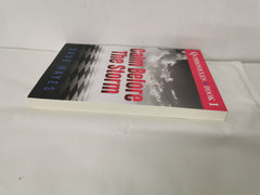 Calm Before the Storm by Dave Hayes (2020, Trade Paperback)