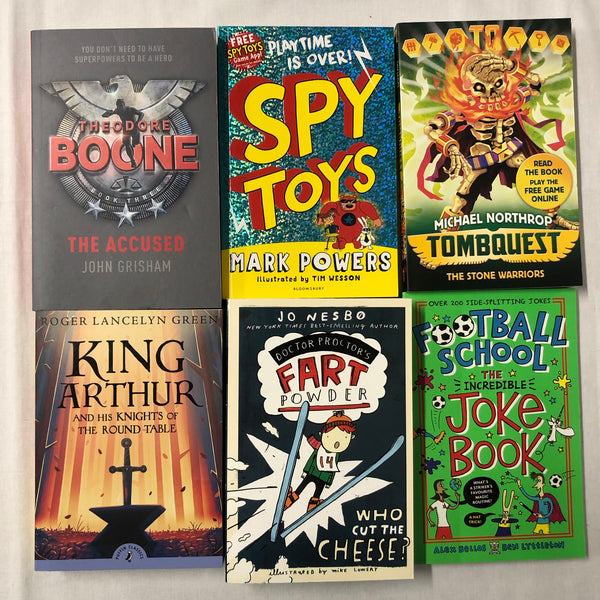Bundle of 6 Books for boys age 8-11: Random Mix of books, Images show Examples